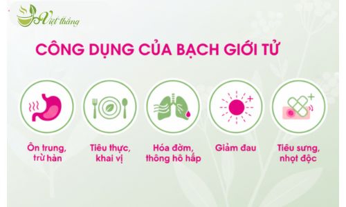 Công dụng của bạch giới tử