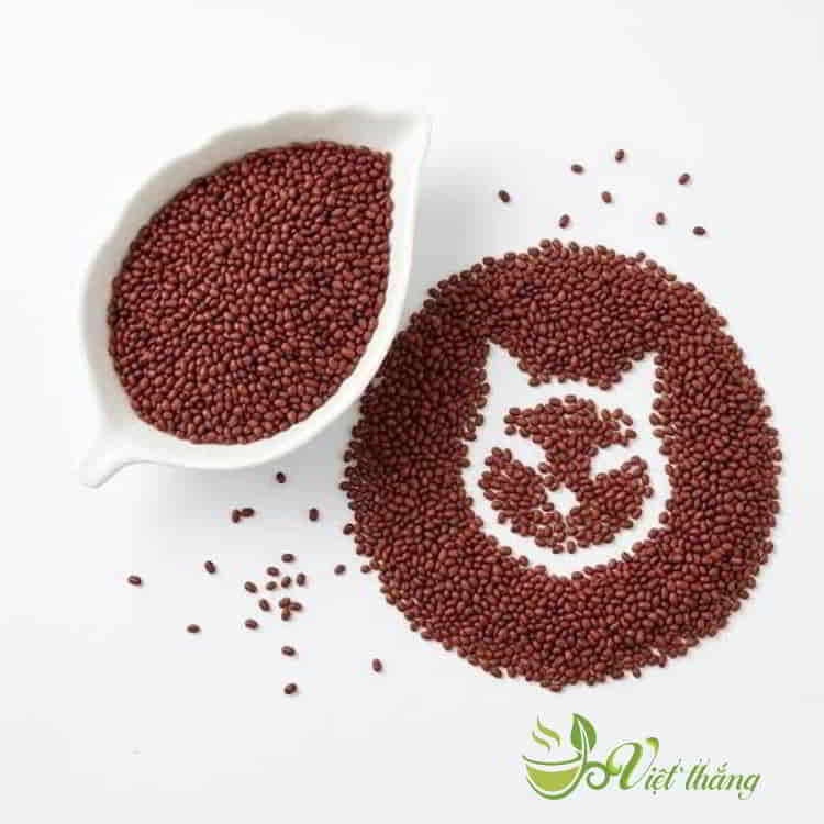 Tác dụng của hạt đình lịch