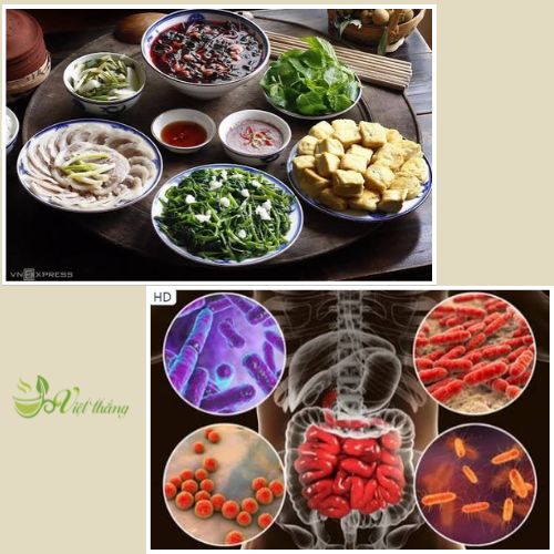 Các yếu tố khác gây ung thư