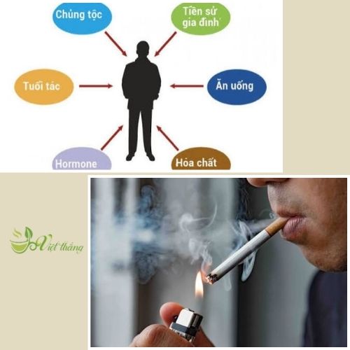 Yếu tố làm tăng nguy cơ ung thư