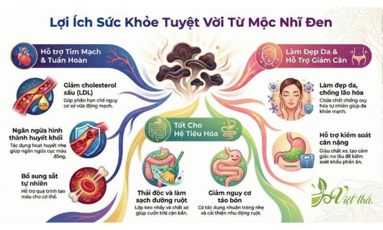 Những công dụng của nấm mộc nhĩ