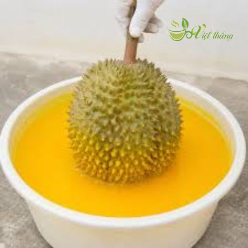 Sầu riêng nhúng hóa chất