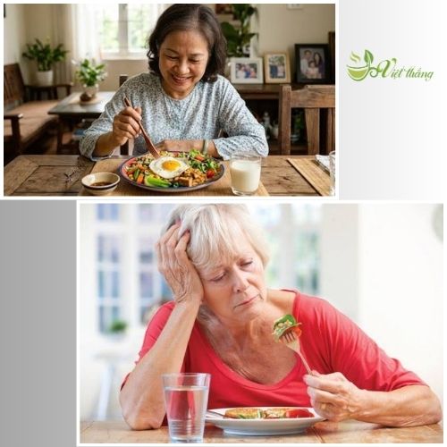 Cơ thể mệt mỏi, lười ăn