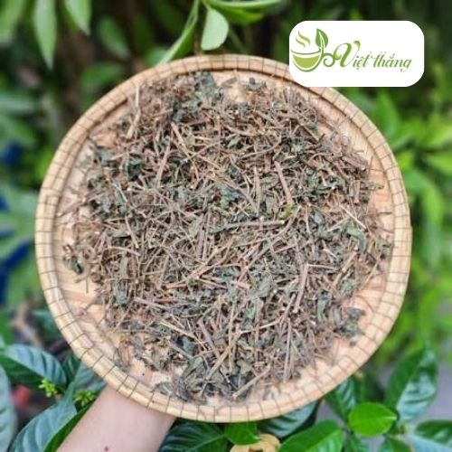 Thuốc dòi tím khô tại Việt Thắng
