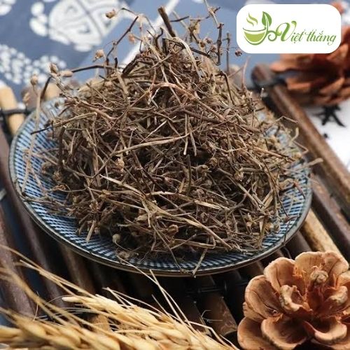 Lưu ý khi sử dụng thuốc dòi tím