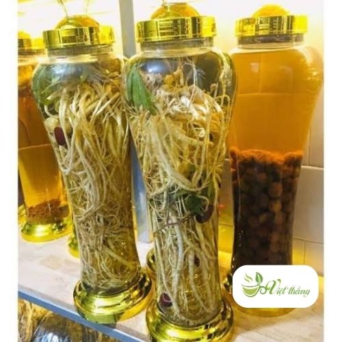 Cách ngâm rượu đương quy