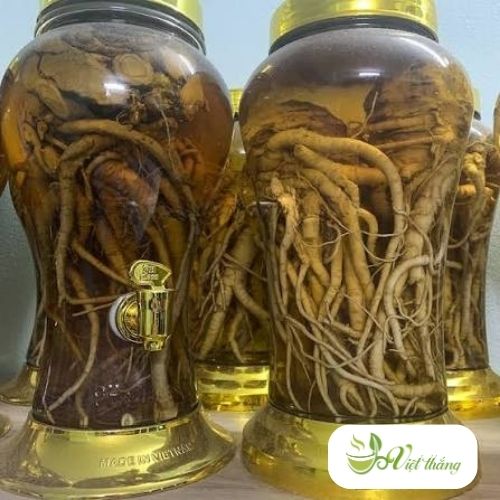 Lưu ý khi sử dụng rượu đương quy