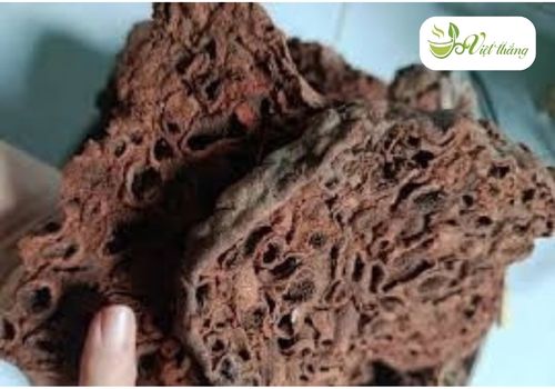 Cách sử dụng Bí kỳ nam