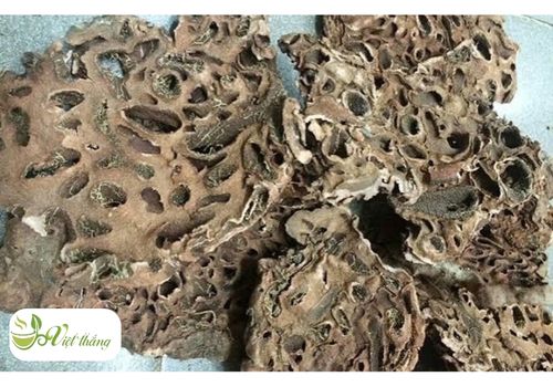 Tác dụng của BÍ kỳ nam