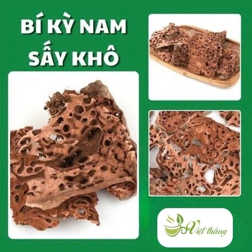 Bí kỳ nam Việt Thắng
