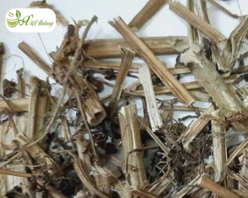 Một số lưu ý cần nhớ khi sử dụng cây thù lù