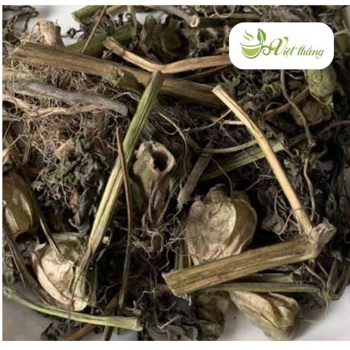 Cách sử dụng cây thù lù khô