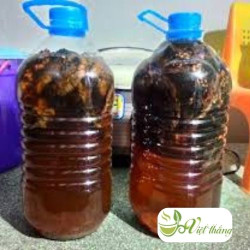 Thời gian ngâm rượu chuối hột rừng khô