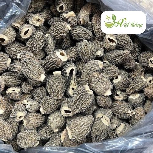 Điểm quý giá của nấm bụng dê