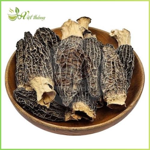 Đặc điểm của nấm bụng dê