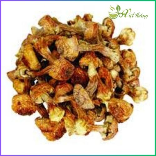 Giá nấm đông cô trên thị trường