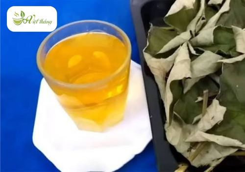 Tìm hiểu về nước lá sen