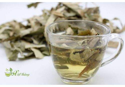 Lý do khó chịu khi uống nước lá sen